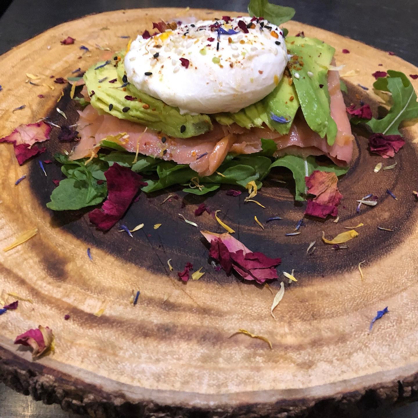 Mica's Shack — gallery photo